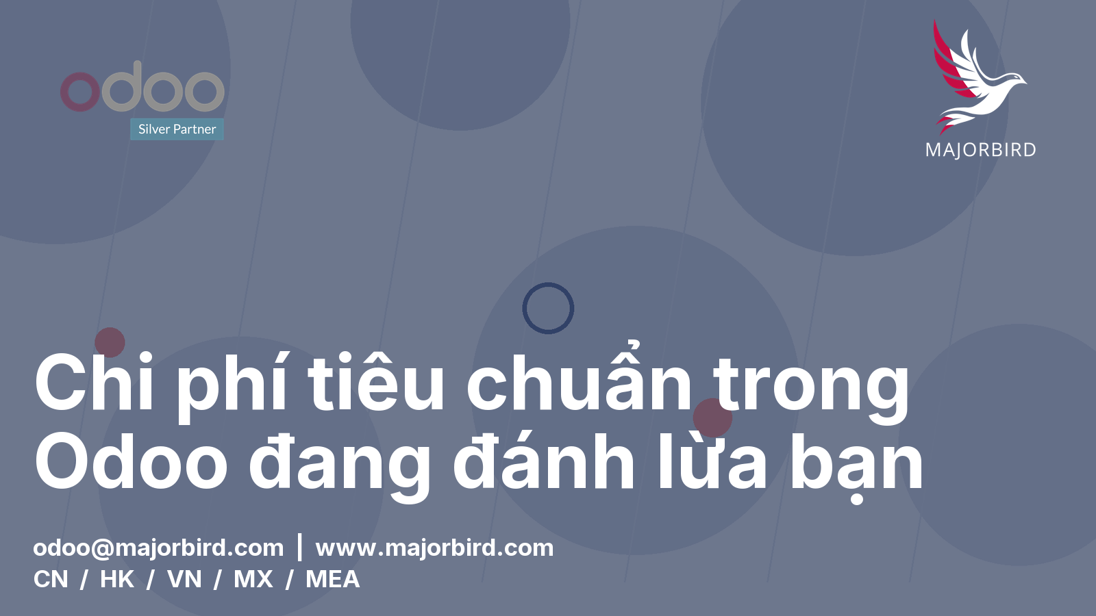 Chi phí tiêu chuẩn trong Odoo đang đánh lừa bạn